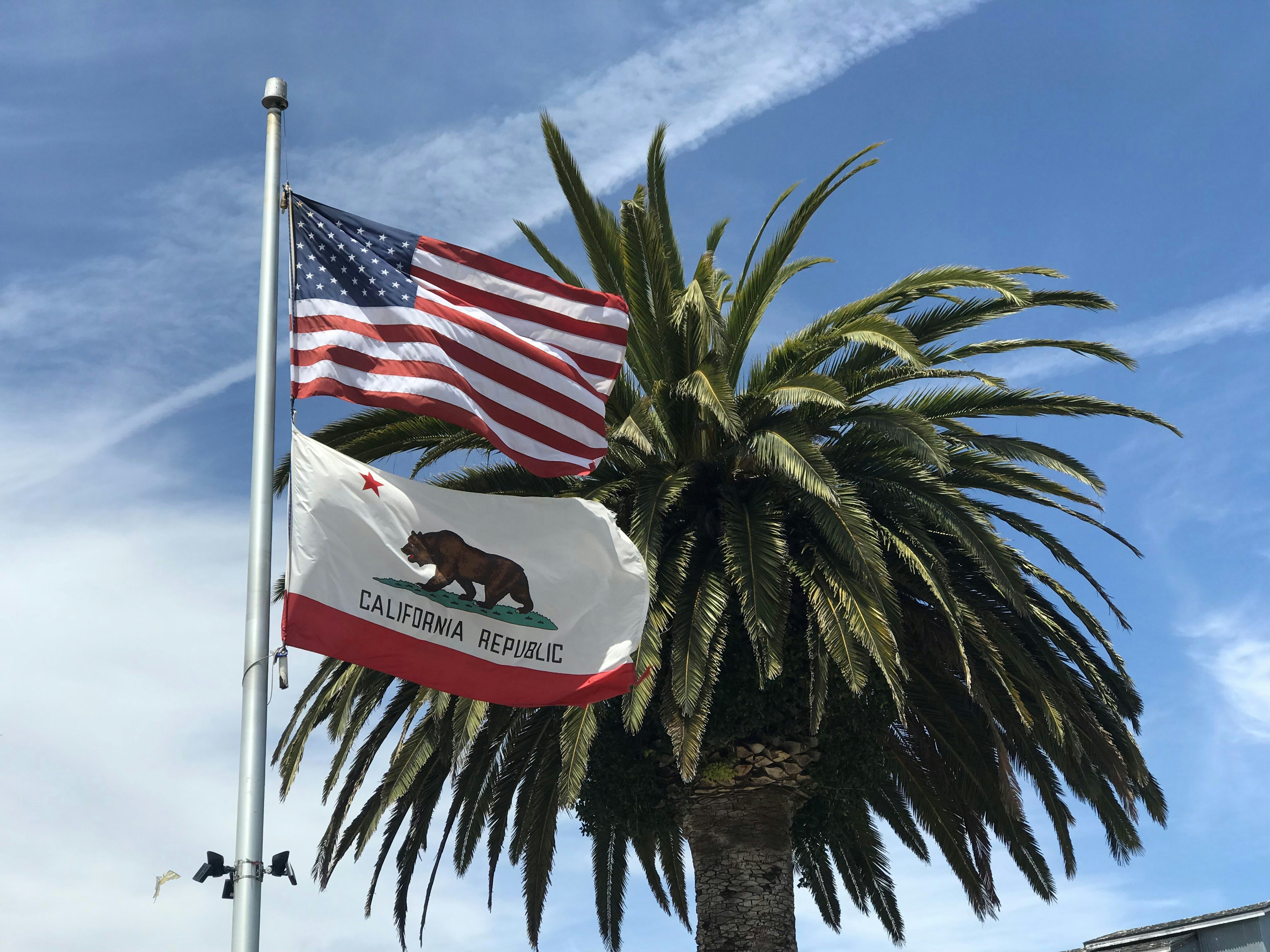 California state flag and California-themed imagery, marking the state's first congressional primary on the new Prop 50 map.